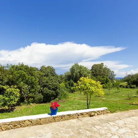 Liuba Holiday home *