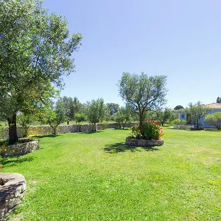 Liuba Holiday home Vasilikos (Zakynthos)