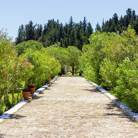Liuba * Vasilikos (Zakynthos)